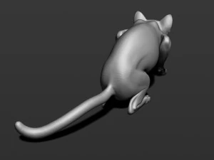 cat in 10 poses 3D Print Model
