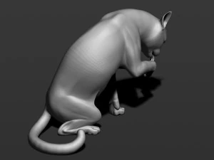 cat in 10 poses 3D Print Model