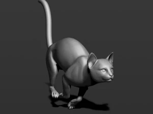 cat in 10 poses 3D Print Model