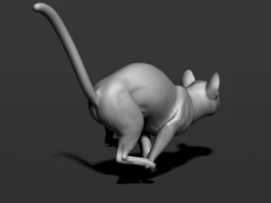 cat in 10 poses 3D Print Model