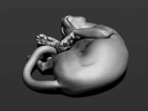 cat in 10 poses 3D 프린트 모델
