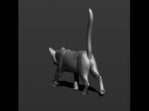 cat in 10 poses 3D 프린트 모델