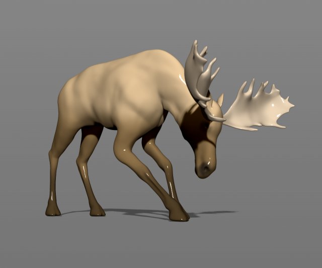 young moose 3D-printmodel .c4d .max .obj .3ds .fbx .stl .blend 