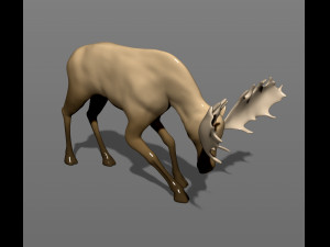 young moose 3D-printmodel