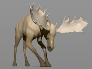 young moose 3D-printmodel