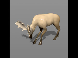 young moose 3D-printmodel