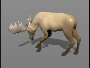 young moose 3D-printmodel