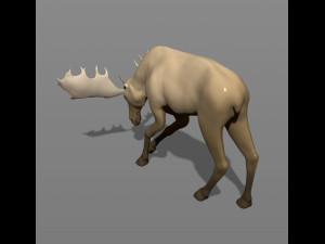 young moose 3D-printmodel