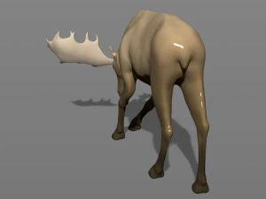 jovem alce Modelo de Impressão 3D