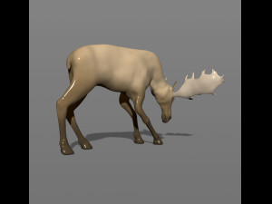 young moose 3D-printmodel