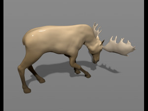 young moose 3D-printmodel