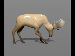 young moose 3D-printmodel