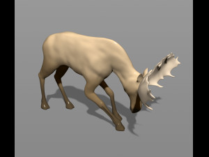 young moose 3D-printmodel