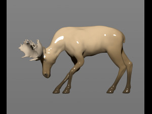 young moose 3D-printmodel