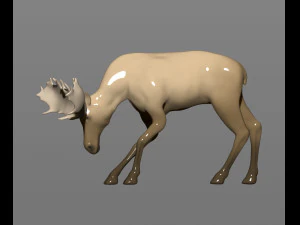 jovem alce Modelo de Impressão 3D