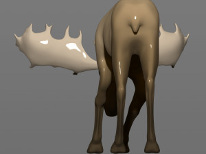 young moose 3D-printmodel