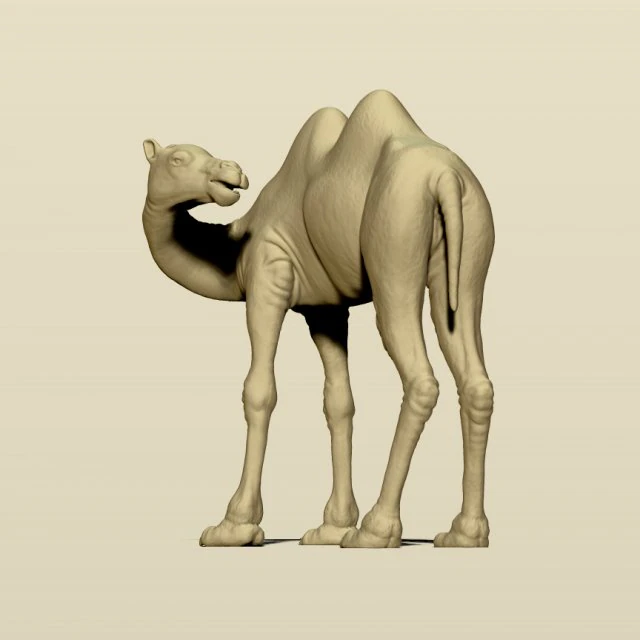 camel bactrian 3D Print Model .c4d .max .obj .3ds .fbx .stl .blend 