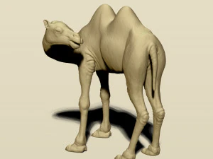 camel bactrian 3D Print Model