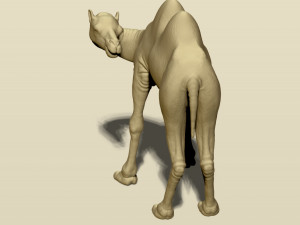 camel bactrian Modello di stampa 3D