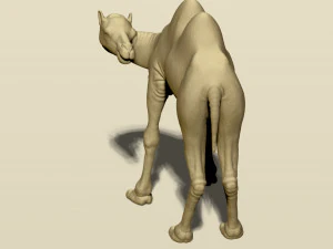 camel bactrian 3D Print Model
