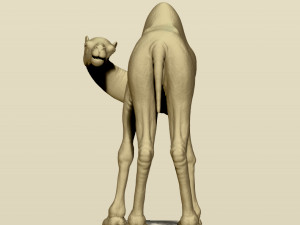 camel bactrian Modello di stampa 3D