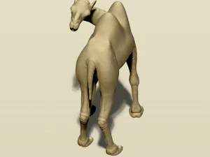 camel bactrian 3D Print Model