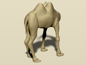 camel bactrian Modello di stampa 3D
