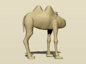 camel bactrian 3D Print Model