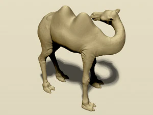 camel bactrian 3D Print Model