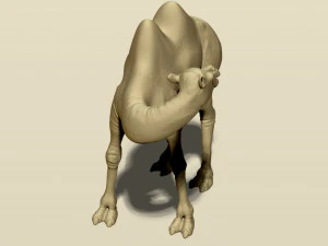 camel bactrian 3D Print Model