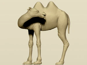 camel bactrian 3D Print Model