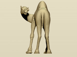 camel bactrian Modello di stampa 3D