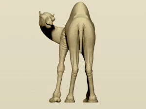 camel bactrian 3D Print Model