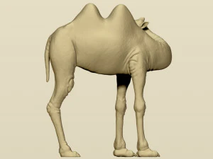 camel bactrian 3D Print Model