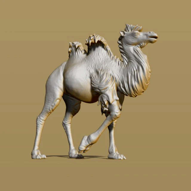 shaggy camel 3D Print Model .c4d .max .obj .3ds .fbx .stl .blend 