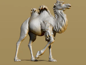 zottiges Kamel 3D Druckmodell