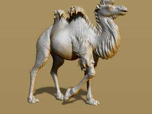 shaggy camel 3D प्रिंट मॉडल
