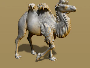 shaggy camel 3D Print Model