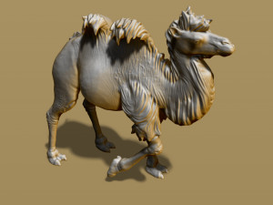 shaggy camel 3D प्रिंट मॉडल