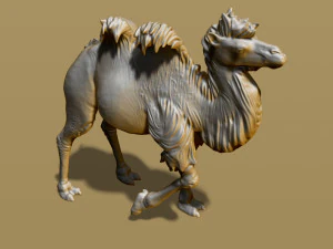 shaggy camel 3D Print Model