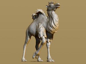 shaggy camel 3D प्रिंट मॉडल