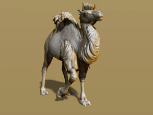 shaggy camel 3D Print Model