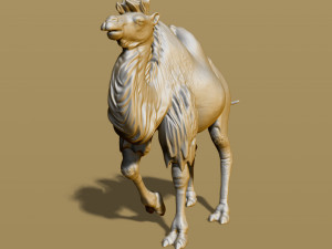 shaggy camel 3D प्रिंट मॉडल