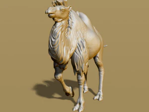 shaggy camel 3D Print Model