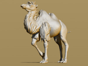 shaggy camel 3D प्रिंट मॉडल