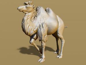 shaggy camel 3D प्रिंट मॉडल