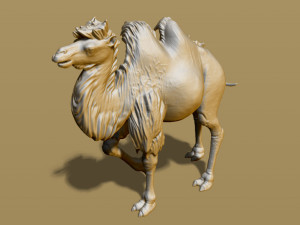 shaggy camel 3D प्रिंट मॉडल
