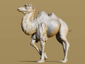 shaggy camel 3D प्रिंट मॉडल