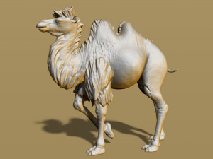shaggy camel 3D प्रिंट मॉडल