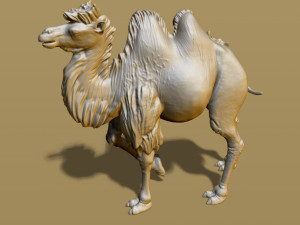 shaggy camel 3D प्रिंट मॉडल